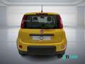 Fiat Panda 1.0 FireFly S&S Hybrid PANDINA ADAS Giallo - thumbnail 3