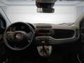 Fiat Panda 1.0 FireFly S&S Hybrid PANDINA ADAS Giallo - thumbnail 13