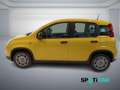 Fiat Panda 1.0 FireFly S&S Hybrid PANDINA ADAS Giallo - thumbnail 4