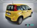 Fiat Panda 1.0 FireFly S&S Hybrid PANDINA ADAS Giallo - thumbnail 9
