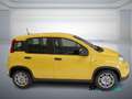 Fiat Panda 1.0 FireFly S&S Hybrid PANDINA ADAS Giallo - thumbnail 6