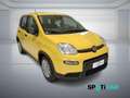 Fiat Panda 1.0 FireFly S&S Hybrid PANDINA ADAS Giallo - thumbnail 5
