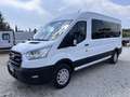 Ford Transit 2.0 EcoBlue 130CV L3H2 9 Posti Trasporto Disabili Bianco - thumbnail 3