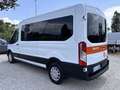 Ford Transit 2.0 EcoBlue 130CV L3H2 9 Posti Trasporto Disabili Bianco - thumbnail 5