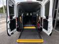 Ford Transit 2.0 EcoBlue 130CV L3H2 9 Posti Trasporto Disabili Bianco - thumbnail 15