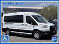 Ford Transit 2.0 EcoBlue 130CV L3H2 9 Posti Trasporto Disabili Bianco - thumbnail 1