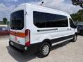 Ford Transit 2.0 EcoBlue 130CV L3H2 9 Posti Trasporto Disabili Bianco - thumbnail 6