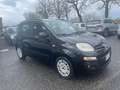 Fiat Panda Panda 1.2 Pop 69cv *OK NEOPATENTATI* Nero - thumbnail 4