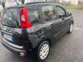 Fiat Panda Panda 1.2 Pop 69cv *OK NEOPATENTATI* Nero - thumbnail 8