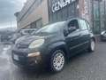 Fiat Panda Panda 1.2 Pop 69cv *OK NEOPATENTATI* Noir - thumbnail 1