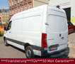 Mercedes-Benz Sprinter III Kasten RWD/AWD 311/315/317/319 CDI Weiß - thumbnail 3