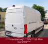 Mercedes-Benz Sprinter III Kasten RWD/AWD 311/315/317/319 CDI Weiß - thumbnail 5