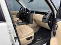 Land Rover Discovery 4.4 V8 HSE LPG - Leder - Zeer Nette Auto - Schuifd Blanco - thumbnail 17