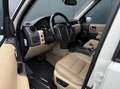 Land Rover Discovery 4.4 V8 HSE LPG - Leder - Zeer Nette Auto - Schuifd Blanco - thumbnail 16