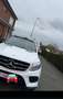 Mercedes-Benz GLE 250 250d 4Matic Aut. - thumbnail 16