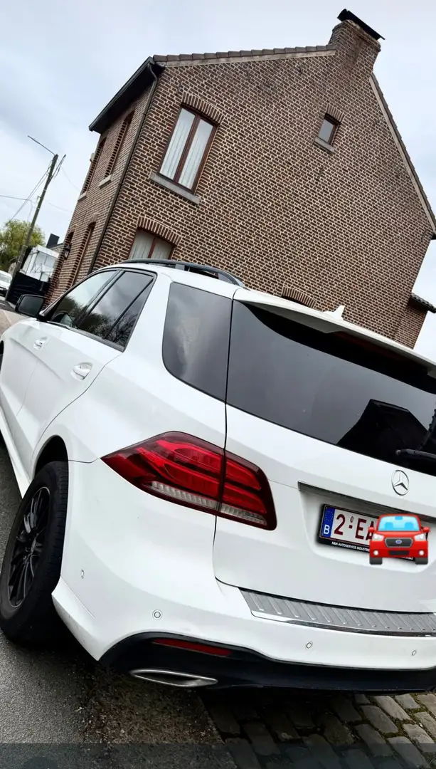 Mercedes-Benz GLE 250 250d 4Matic Aut. - 1