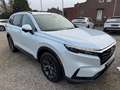Honda CR-V 2.0 e:HEV AWD Advance "auf Lager" Blanc - thumbnail 1