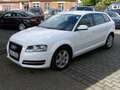 Audi A3 1.6 TDI Attraction Weiß - thumbnail 2