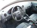 Audi A3 1.6 TDI Attraction Weiß - thumbnail 5