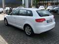 Audi A3 1.6 TDI Attraction Weiß - thumbnail 3