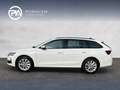 Skoda Octavia Selection TDI Weiß - thumbnail 4