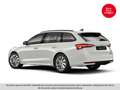 Skoda Octavia Selection TDI Weiß - thumbnail 24