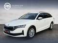 Skoda Octavia Selection TDI Weiß - thumbnail 1