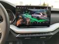 Skoda Octavia Selection TDI Weiß - thumbnail 19