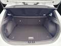 Kia Ceed / cee'd CEED 1.5T 140 VISION KOMF+ Weiß - thumbnail 14