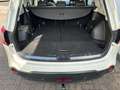 Nissan Qashqai+2 Qashqai +2 I-Way 1,6dCi 7 Sitze Navi Cam Pano AHK Wit - thumbnail 5
