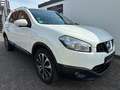 Nissan Qashqai+2 Qashqai +2 I-Way 1,6dCi 7 Sitze Navi Cam Pano AHK Wit - thumbnail 17
