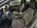 Ford Kuga Kuga 1.5 EcoBlue 120 CV 2WD ST-Line Argento - thumbnail 9