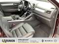 Renault Koleos INITIALE PARIS TCe 160 EDC Winter Plus Paket Rouge - thumbnail 11