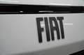 Fiat Scudo VAN L2 1.5 MULTIJET 120 MT Weiß - thumbnail 8