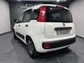 Fiat Panda 1.3 MJT S&S Easy Bianco - thumbnail 4