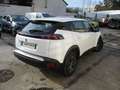 Peugeot 2008 BlueHDi 110 SetS BVM6 Active Pack Bianco - thumbnail 6