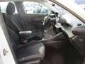 Peugeot 2008 BlueHDi 110 SetS BVM6 Active Pack Bianco - thumbnail 12