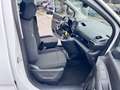 Opel Combo 1.5 Diesel 100CV S&S PC Autocarro N1 5 Posti Bianco - thumbnail 6