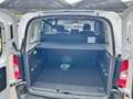 Opel Combo 1.5 Diesel 100CV S&S PC Autocarro N1 5 Posti Bianco - thumbnail 9