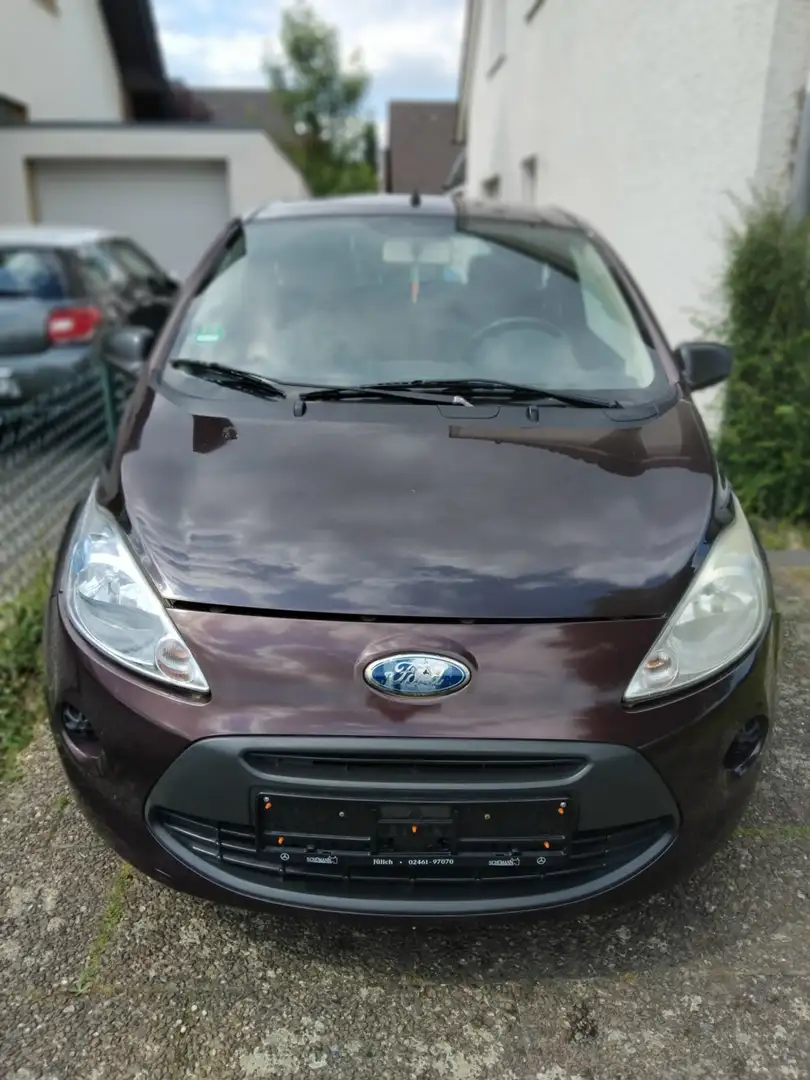 Ford Ka/Ka+ KEINE TÜV Braun - 1