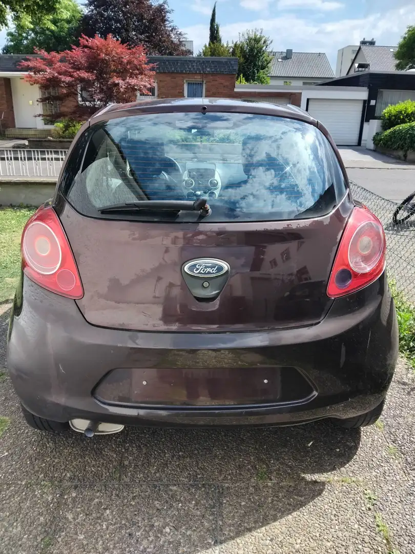 Ford Ka/Ka+ KEINE TÜV Braun - 2