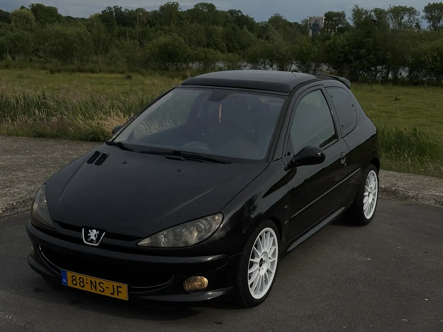 Peugeot 206 2.0-16V GTI Negro - 1