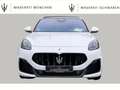 Maserati Grecale Trofeo MY24 / ACC/ Head-Up/ SHZ Weiß - thumbnail 9