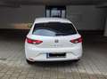 SEAT Leon Leon Executive 1,6 TDI Executive Weiß - thumbnail 4