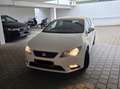 SEAT Leon Leon Executive 1,6 TDI Executive Weiß - thumbnail 1