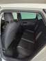SEAT Leon Leon Executive 1,6 TDI Executive Weiß - thumbnail 7