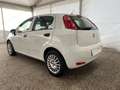 Fiat Punto Punto 5p 1.4 easypower Gpl E6 Neopatentati Weiß - thumbnail 4