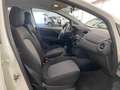 Fiat Punto Punto 5p 1.4 easypower Gpl E6 Neopatentati Weiß - thumbnail 9