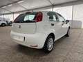 Fiat Punto Punto 5p 1.4 easypower Gpl E6 Neopatentati Weiß - thumbnail 6
