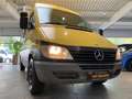 Mercedes-Benz Sprinter 316 CDI Mixto Hoch+Lang *Klima* Žlutá - thumbnail 20